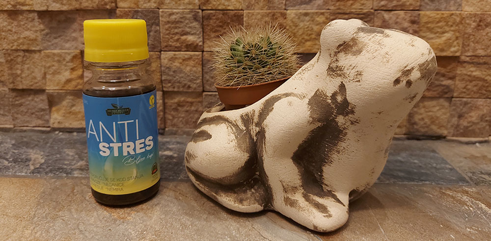 kako pobediti stres prirodnim putem