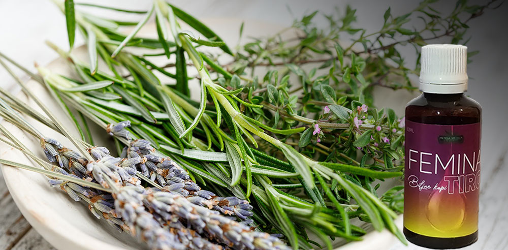 stitna zlezda i vrtoglavica 1